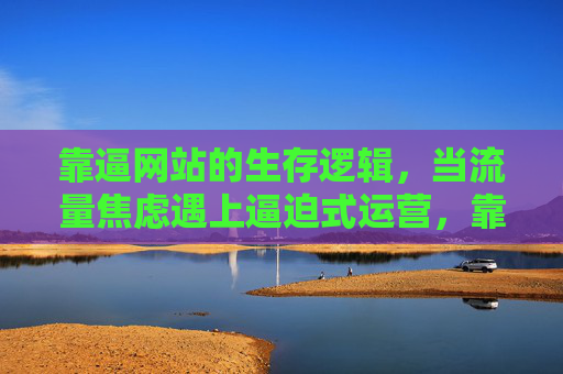 靠逼网站的生存逻辑，当流量焦虑遇上逼迫式运营，靠‘逼’生存，流量焦虑与逼迫式运营的网站逻辑