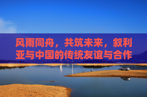 风雨同舟，共筑未来，叙利亚与中国的传统友谊与合作之路，风雨同舟，共筑未来，中叙传统友谊与合作之路