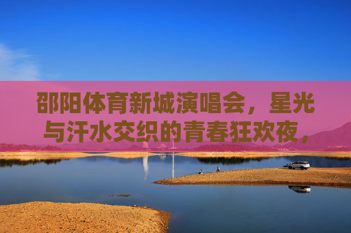 邵阳体育新城演唱会，星光与汗水交织的青春狂欢夜，邵阳体育新城星光汗水交织青春狂欢夜
