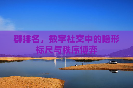 群排名,数字社交中的隐形标尺与秩序博弈 群排名,数字社交中的隐形标尺与秩序博弈