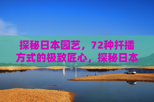 探秘日本园艺,72种扦插方式的极致匠心,探秘日本园艺,72种扦插方式的极致匠心 探秘日本园艺,72种扦插方式的极致匠心,探秘日本园艺,72种扦插方式的极致匠心
