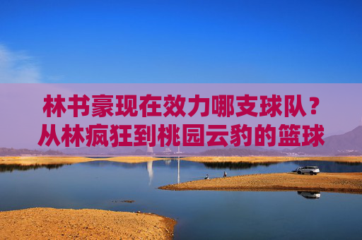 林书豪现在效力哪支球队?从林疯狂到桃园云豹的篮球之路,从林疯狂到桃园云豹,林书豪的篮球之路 林书豪现在效力哪支球队?从林疯狂到桃园云豹的篮球之路,从林疯狂到桃园云豹,林书豪的篮球之路