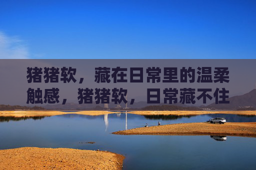 猪猪软,藏在日常里的温柔触感,猪猪软,日常藏不住的温柔触感 猪猪软,藏在日常里的温柔触感,猪猪软,日常藏不住的温柔触感