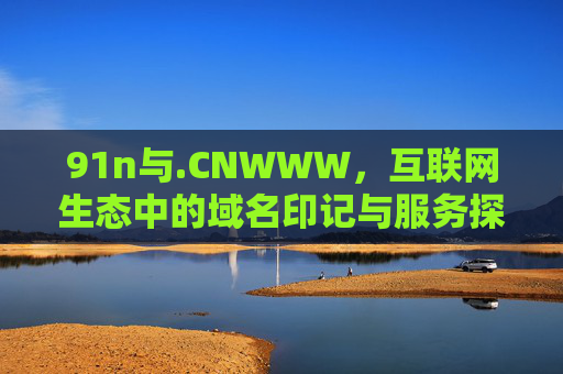 91n与.CNWWW，互联网生态中的域名印记与服务探索，91n与.CNWWW，互联网生态中的域名印记与服务探索