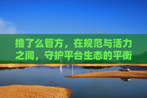 撸了么管方,在规范与活力之间,守护平台生态的平衡术 撸了么管方,在规范与活力之间,守护平台生态的平衡术
