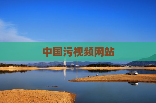 中国污视频网站