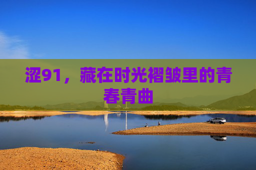涩91，藏在时光褶皱里的青春青曲