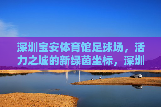 深圳宝安体育馆足球场，活力之城的新绿茵坐标，深圳宝安体育馆足球场，活力之城的新绿茵坐标
