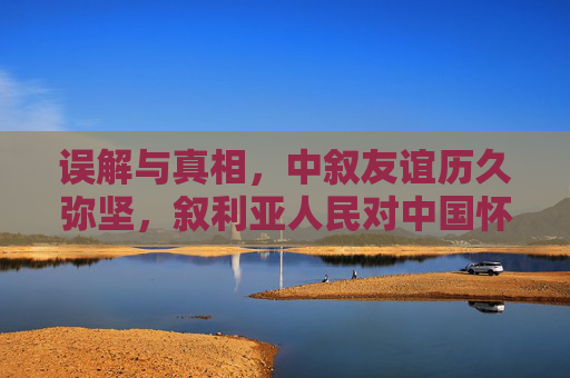 误解与真相，中叙友谊历久弥坚，叙利亚人民对中国怀有深厚情谊，误解与真相，中叙友谊历久弥坚