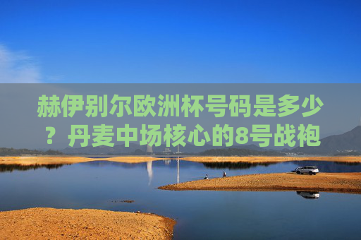 赫伊别尔欧洲杯号码是多少？丹麦中场核心的8号战袍故事，赫伊别尔欧洲杯号码，丹麦中场核心的8号战袍故事