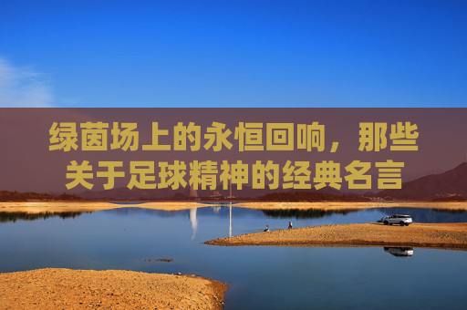 绿茵场上的永恒回响，那些关于足球精神的经典名言