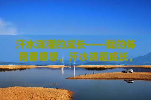 汗水浇灌的成长——我的体育课感想，汗水浇灌成长，体育课札记