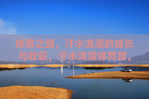 体育之路，汗水浇灌的成长与收获，汗水浇灌体育路，成长收获皆硕果