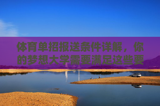 体育单招报送条件详解，你的梦想大学需要满足这些要求，体育单招报送条件详解，圆梦大学需满足这些要求