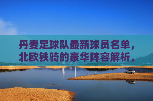 丹麦足球队最新球员名单，北欧铁骑的豪华阵容解析，丹麦最新球员名单，北欧铁骑豪华阵容解析