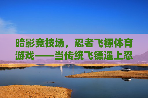 暗影竞技场，忍者飞镖体育游戏——当传统飞镖遇上忍者文化，暗影竞技场，传统飞镖遇上忍者飞镖