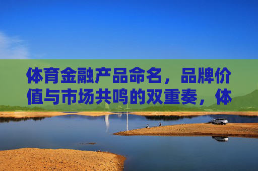 体育金融产品命名，品牌价值与市场共鸣的双重奏，体育金融产品命名，品牌价值与市场共鸣的双重协奏