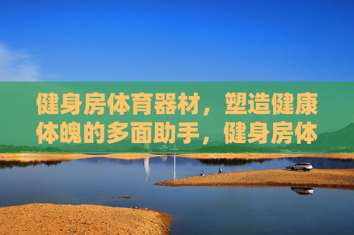 健身房体育器材，塑造健康体魄的多面助手，健身房体育器材，塑造健康体魄的多面助手