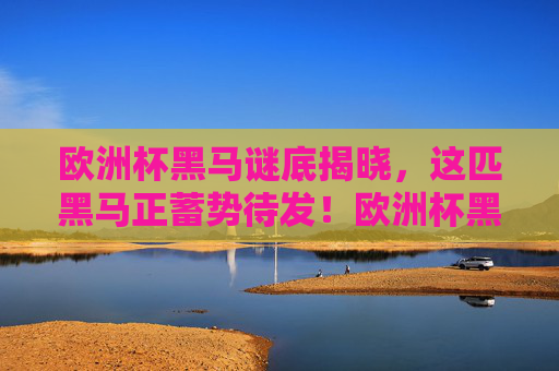 欧洲杯黑马谜底揭晓，这匹黑马正蓄势待发！欧洲杯黑马谜底揭晓，蓄势待发