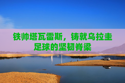 铁帅塔瓦雷斯，铸就乌拉圭足球的坚韧脊梁