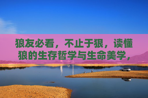 狼友必看,不止于狠,读懂狼的生存哲学与生命美学,狼的生存哲学与生命美学,不止于狠的智慧 狼友必看,不止于狠,读懂狼的生存哲学与生命美学,狼的生存哲学与生命美学,不止于狠的智慧