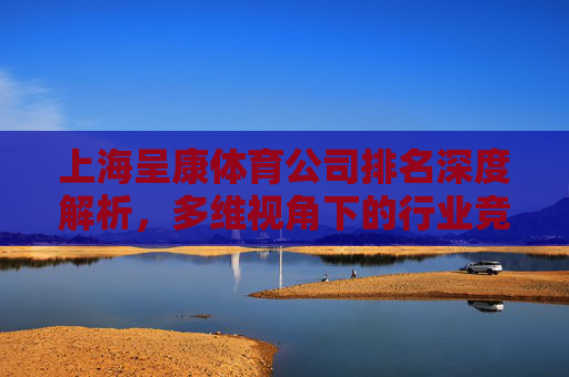 上海呈康体育公司排名深度解析,多维视角下的行业竞争力洞察,多维视角解析上海呈康体育公司排名与行业竞争力 上海呈康体育公司排名深度解析,多维视角下的行业竞争力洞察,多维视角解析上海呈康体育公司排名与行业竞争力