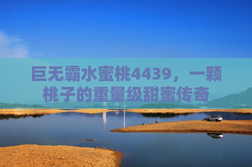 巨无霸水蜜桃4439,一颗桃子的重量级甜蜜传奇 巨无霸水蜜桃4439,一颗桃子的重量级甜蜜传奇