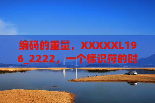 编码的重量，XXXXXL196_2222，一个标识符的时代注脚，编码的重量，标识符的时代注脚