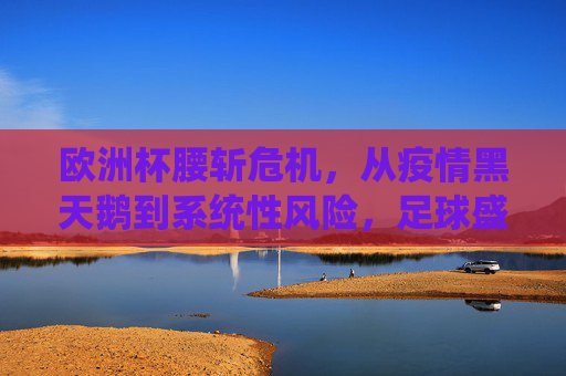欧洲杯腰斩危机，从疫情黑天鹅到系统性风险，足球盛宴的脆弱性何在？欧洲杯腰斩危机，足球盛宴的脆弱性何在？