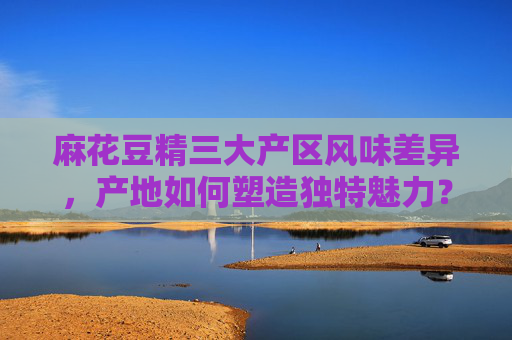 麻花豆精三大产区风味差异，产地如何塑造独特魅力？麻花豆精三大产区，产地塑造的独特风味差异