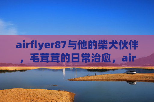 airflyer87与他的柴犬伙伴，毛茸茸的日常治愈，airflyer87与毛茸茸柴犬的日常治愈