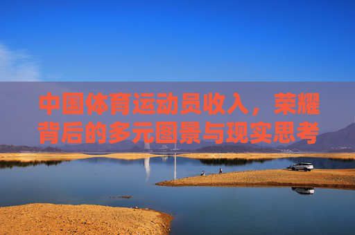 中国体育运动员收入，荣耀背后的多元图景与现实思考，中国体育运动员收入，荣耀背后的多元图景与现实思考