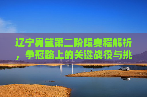 辽宁男篮第二阶段赛程解析，争冠路上的关键战役与挑战，辽宁男篮第二阶段赛程解析，争冠路上的关键战役与挑战