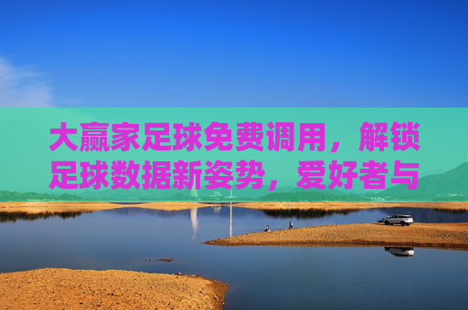 大赢家足球免费调用，解锁足球数据新姿势，爱好者与开发者的双赢之选，大赢家足球免费调用，解锁足球数据新姿势，爱好者开发者双赢