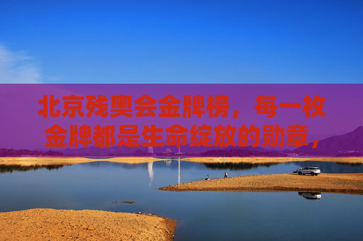 北京残奥会金牌榜，每一枚金牌都是生命绽放的勋章，北京残奥会金牌榜，生命绽放的勋章
