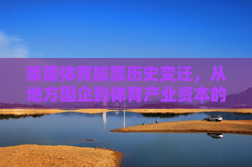 莱茵体育股票历史变迁,从地方国企到体育产业资本的沉浮之路,莱茵体育,地方国企到体育产业资本的股票沉浮史 莱茵体育股票历史变迁,从地方国企到体育产业资本的沉浮之路,莱茵体育,地方国企到体育产业资本的股票沉浮史