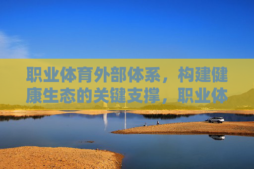 职业体育外部体系，构建健康生态的关键支撑，职业体育外部体系，构建健康生态的关键支撑
