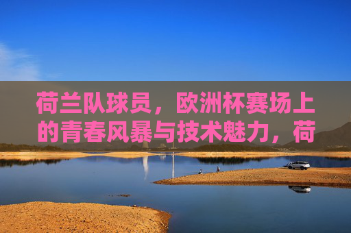 荷兰队球员，欧洲杯赛场上的青春风暴与技术魅力，荷兰队欧洲杯，青春风暴与技术魅力的绽放