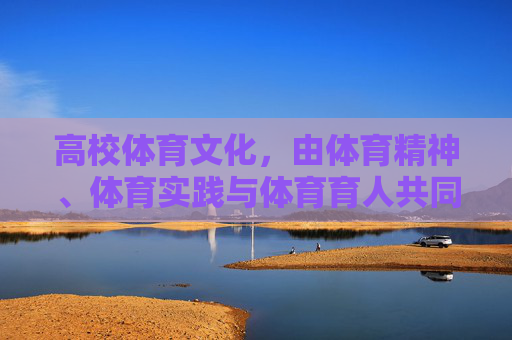 高校体育文化，由体育精神、体育实践与体育育人共同铸就的育人生态，高校体育文化，体育精神、实践与育人共铸的育人生态