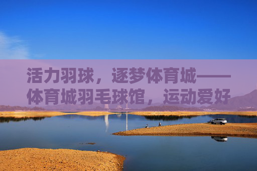 活力羽球，逐梦体育城——体育城羽毛球馆，运动爱好者的理想之选，活力羽球逐梦，体育城羽毛球馆，运动爱好者理想之选