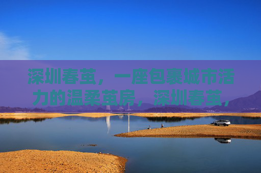 深圳春茧,一座包裹城市活力的温柔茧房,深圳春茧,城市活力的温柔茧房 深圳春茧,一座包裹城市活力的温柔茧房,深圳春茧,城市活力的温柔茧房