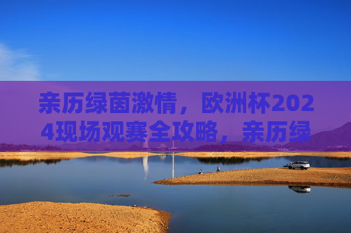 亲历绿茵激情,欧洲杯2024现场观赛全攻略,亲历绿茵激情,欧洲杯2024现场观赛全攻略 亲历绿茵激情,欧洲杯2024现场观赛全攻略,亲历绿茵激情,欧洲杯2024现场观赛全攻略