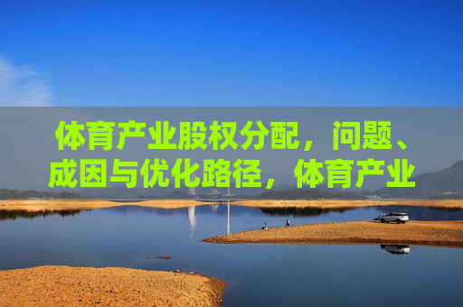 体育产业股权分配，问题、成因与优化路径，体育产业股权分配，问题、成因与优化路径