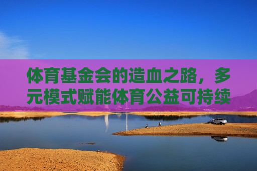 体育基金会的造血之路，多元模式赋能体育公益可持续发展，体育基金会多元造血赋能公益可持续发展