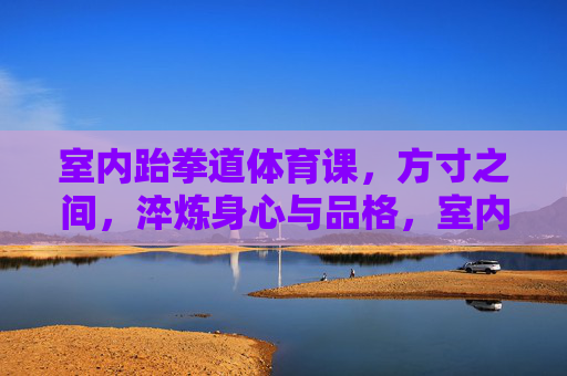 室内跆拳道体育课,方寸之间,淬炼身心与品格,室内跆拳道,方寸淬炼身心品格 室内跆拳道体育课,方寸之间,淬炼身心与品格,室内跆拳道,方寸淬炼身心品格