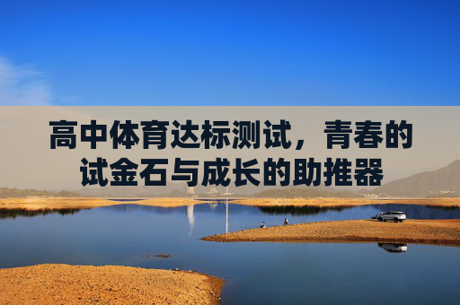 高中体育达标测试,青春的试金石与成长的助推器 高中体育达标测试,青春的试金石与成长的助推器