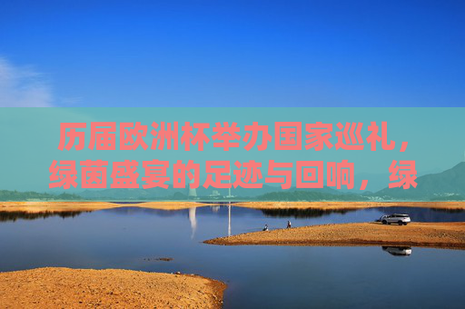 历届欧洲杯举办国家巡礼，绿茵盛宴的足迹与回响，绿茵足迹，欧洲杯举办国的巡礼与回响