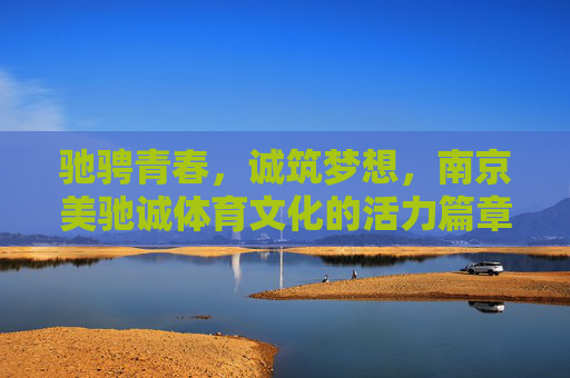 驰骋青春，诚筑梦想，南京美驰诚体育文化的活力篇章，南京美驰诚体育文化，驰骋青春，诚筑梦想的活力篇章