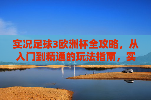 实况足球3欧洲杯全攻略，从入门到精通的玩法指南，实况足球3欧洲杯，从入门到精通全攻略