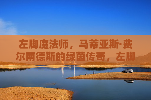 左脚魔法师，马蒂亚斯·费尔南德斯的绿茵传奇，左脚魔法师马蒂亚斯·费尔南德斯绿茵传奇